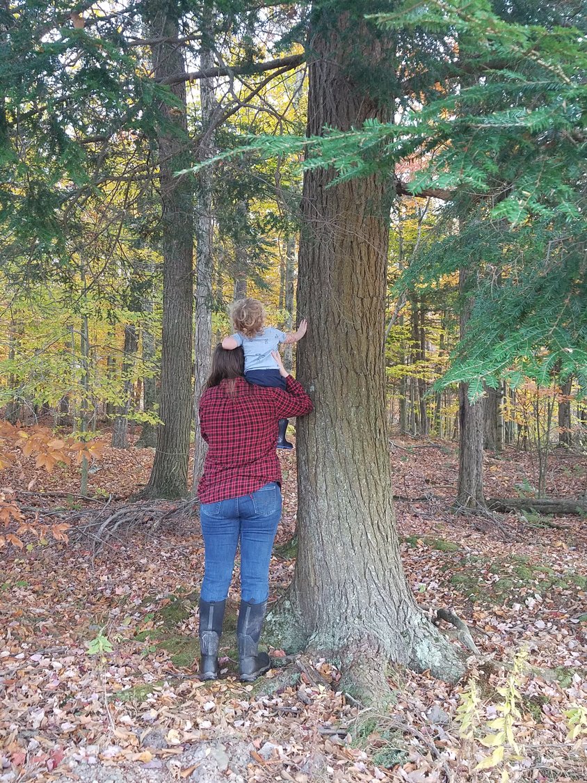 My wife and son meander the forest seeking nothing in particular, beyond what piques curiosity.
